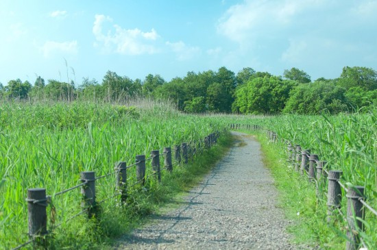 遊歩道